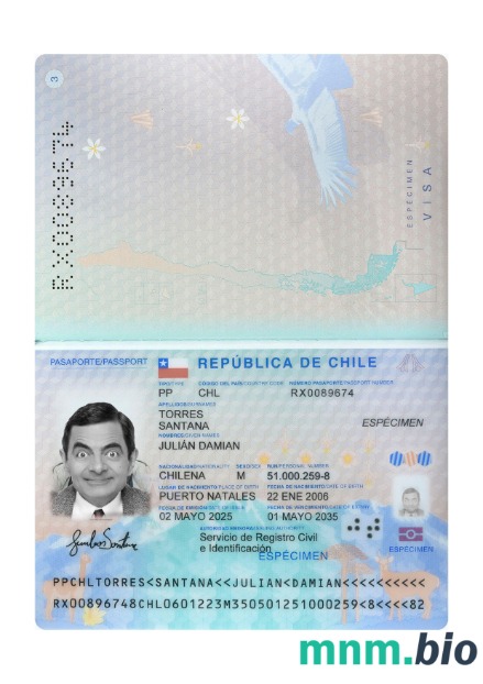 Paszport Chile 2025-obecnie, szablon w formacie PSD
